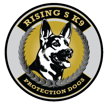 Rising S K9 – Protection Dog Training – Built To Bite